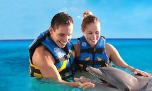 "Anguilla Dolphin Discovery - Day Charters SXM"